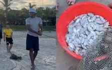 Xem khách Tây kéo lưới, dân mạng đùa "đến Việt Nam là thạo nông lâm ngư nghiệp"