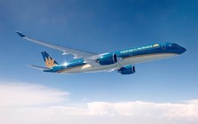 Phó Thủ tướng yêu cầu làm rõ trách nhiệm sự cố chuyến bay VN34 tại Munich