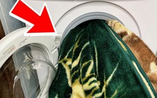 5 thứ vội đến đâu cũng KHÔNG BAO GIỜ được cho vào máy giặt tại nhà