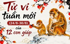 Tử vi tuần mới (24/8 - 30/8): 5 con giáp đón tài lộc khởi sắc, có người ký được hợp đồng lớn, có người thu hồi tiền chờ đã lâu