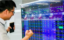 Dòng tiền ồ ạt vào nhóm chứng khoán trước giờ đón tin nâng hạng