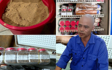 Khám xét chỗ ở, bắt giữ kẻ tự xưng 'thần y' Nguyễn Văn Mạnh SN 1977