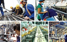Thủ tướng chỉ đạo giải quyết dứt điểm, thiết thực, hiệu quả các khó khăn, vướng mắc của doanh nghiệp