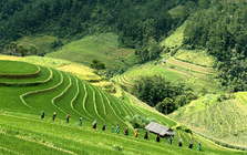 Cảnh tượng bất ngờ xuất hiện giữa cánh đồng ruộng bậc thang ở Mù Cang Chải