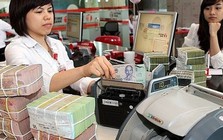 Quỹ tín dụng nhân dân phải báo cáo khoản cho vay thuộc diện hạn chế