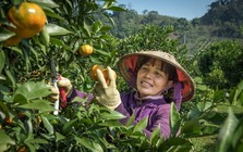 Việt Nam đứng thứ mấy trong bảng xếp hạng các nền kinh tế nông nghiệp lớn nhất thế giới?