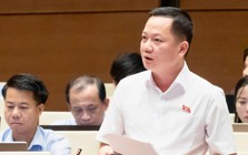 Đại biểu Quốc hội đề nghị định danh hành vi thao túng thị trường bất động sản
