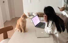 Có nên chuyển nhà để tiết kiệm 1-2 triệu mỗi tháng?