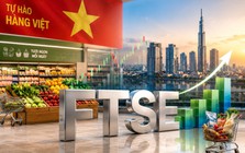Vinamilk, Masan cùng loạt cổ phiếu bán lẻ, tiêu dùng được FTSE Russell gọi tên, hàng trăm triệu USD có thể chờ đổ vào