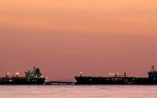 Mỹ lại đón tin vui từ  Venezuela