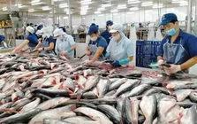 Xuất khẩu thủy sản tháng 7 đạt 1,1 tỷ USD, thị trường lớn hiện ra sao?