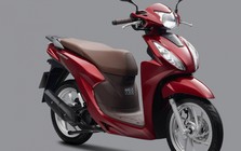 Bảng giá xe máy Honda Vision tháng 8/2026 mới nhất