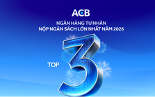 ACB đóng góp 5.800 tỷ đồng vào ngân sách Nhà nước, Top 3 Khối ngân hàng tư nhân