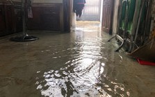 Nước mưa tràn vào nhà nên làm gì đầu tiên?