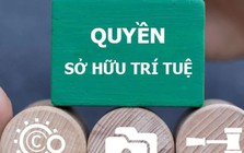 Tăng cường chế tài xử lý các hành vi xâm phạm quyền, vi phạm pháp luật về sở hữu trí tuệ
