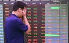 Một cổ phiếu chứng khoán bất ngờ "nằm sàn" giữa lúc VN-Index hưng phấn