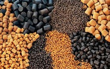Rót 34 triệu USD xây “đại nhà máy”, “ông lớn” Trung Quốc tham vọng vươn ra Đông Nam Á