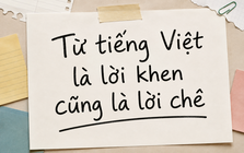 Trong tiếng Việt có một từ vừa là khen, vừa mang nghĩa mỉa mai