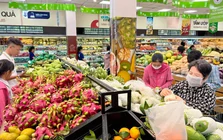 Thuế TPHCM: Hoàn thuế hơn 29.500 tỷ đồng, cao nhất cả nước