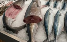 6 loại cá "ngậm" nhiều thủy ngân bậc nhất