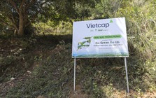Vietcap tiếp tục trao tặng 8.000 cây, thành công khép lại Go Green Go Up mùa 2
