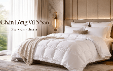 Vì sao chăn lông vũ ngày càng được khách sạn cao cấp và gia đinh ưa chuông?