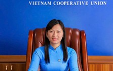 Ra quyết định khởi tố hình sự Lê Thị Hiền SN 1984