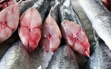 Lời khuyên cho những gia đình muốn tránh ăn cá "ngậm" nhiều thủy ngân