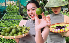 Khu vườn ngập trái cây trong căn nhà phố rộng 100m2 của Diệp Bảo Ngọc