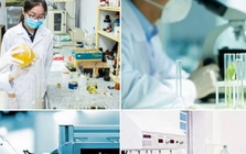 Giải thể Hội đồng Quốc gia về Khoa học, Công nghệ và Đổi mới sáng tạo