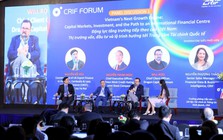 Giai đoạn tăng trưởng tiếp theo của Việt Nam không thể chỉ được đánh giá qua dòng vốn đầu tư và sản lượng sản xuất