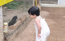 Trẻ IQ cao thường có 3 kiểu "dai dẳng" này!