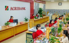Lãi suất ngân hàng 28/8 tại Agribank, Vietcombank, BIDV, VietinBank, MB, Sacombank, HDBank,...