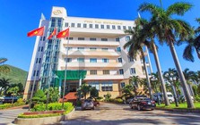 Đại gia ngành gỗ Việt chi triệu đô lập công ty tại Mỹ