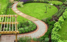 5 loại cây dễ chăm sóc, thích hợp trồng lối đi sân vườn