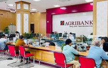 Lãi suất ngân hàng 29/8 tại Agribank, Vietcombank, BIDV, VietinBank, MB, Sacombank, HDBank,...