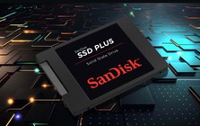 Chiếc SSD “đầy nghị lực” sống sót 16 năm, ghi 9 PB dữ liệu vẫn chưa chịu nghỉ hưu