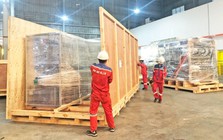 Đóng thùng gỗ theo yêu cầu đạt chuẩn ISO và ISPM 15 với Kiến Đỏ