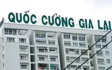 Quốc Cường Gia Lai còn nợ bà Trương Mỹ Lan bao nhiêu tiền?
