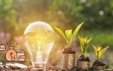 Lịch chốt quyền trả cổ tức trong tuần từ ngày 3/8-7/8, tỷ lệ cao nhất 100%
