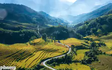 Ruộng bậc thang Tây Bắc mùa lúa chín đẹp như tranh