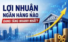 Những ngân hàng đang tăng trưởng lợi nhuận nhanh nhất: Nhiều nhà băng tăng theo cấp số nhân, xuất hiện mức lãi cao nhất lịch sử