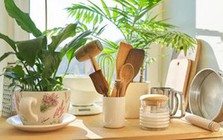 5 thứ trong nhà dễ gây bệnh bỏ ngay đừng tiếc