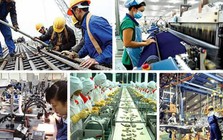 Triển khai thực hiện Kết luận số 62-KL/TW về nâng cao năng suất lao động quốc gia gắn với phát triển thị trường lao động