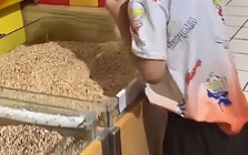 Bức ảnh chụp trong siêu thị khiến nhiều người lắc đầu ngán ngẩm: Con đáng trách 1, cha mẹ đáng trách 10