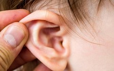 Em bé hơn 1 tuổi thường xuyên gãi tai, sau khi phát hiện ra nhiều hạt mầm bên trong, bác sĩ cảnh báo