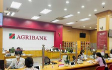 Lãi suất ngân hàng 31/8 tại Agribank, Vietcombank, BIDV, VietinBank, MB, Sacombank, HDBank,...
