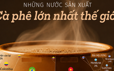 Sản vật tỷ đô giúp Việt Nam trở thành ông trùm của thế giới: chiếm thị phần 18% toàn cầu, diện tích trồng hơn 700.000 ha