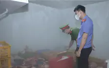 Hưng Yên: Phát hiện gần 1 tấn thịt lợn nhiễm dịch tả lợn châu Phi tại cơ sở sơ chế