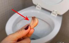 Vì sao ngày càng nhiều gia đình thích bỏ 1 tép tỏi vào bồn cầu mỗi đêm?